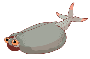 Odaraia alata
